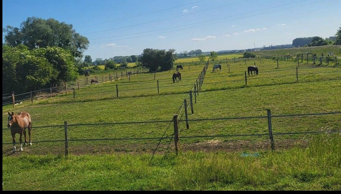 blockValue.90d6530f-52cd-4b85-9e57-cdc60721b3b1.img_alt