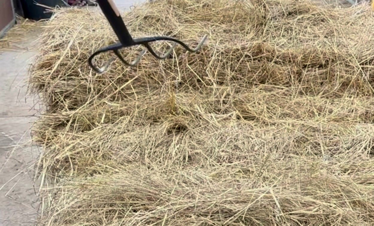 blockValue.95fa0e26-651f-4903-9465-7899633ed5c6.images.3.img_alt