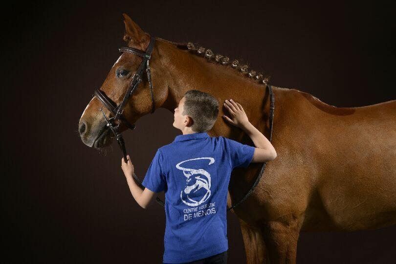 Le centre équestre de 