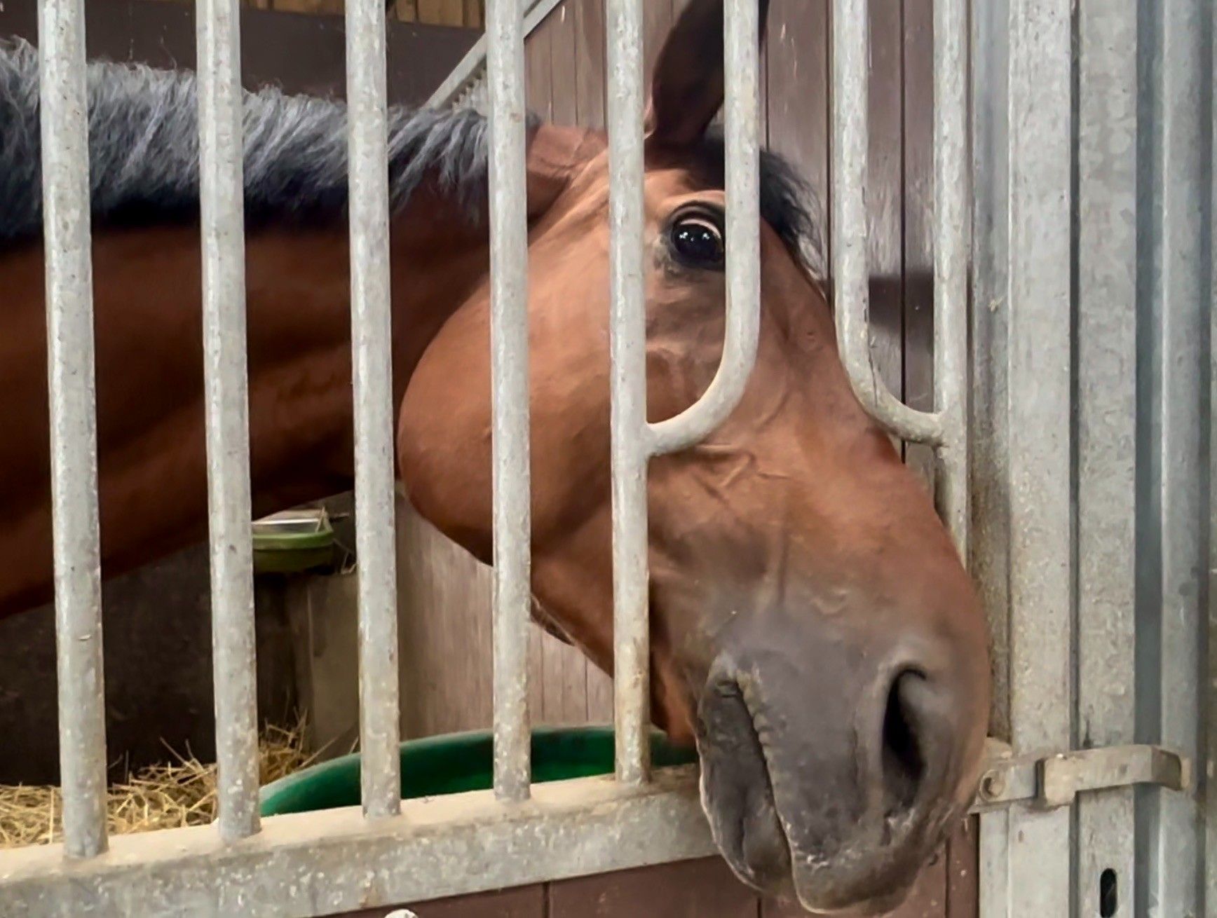 blockValue.95fa0e26-651f-4903-9465-7899633ed5c6.images.2.img_alt