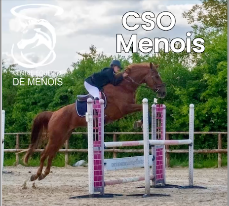 CSO Menois
